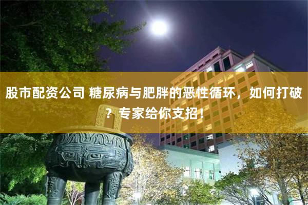 股市配资公司 糖尿病与肥胖的恶性循环，如何打破？专家给你支招！