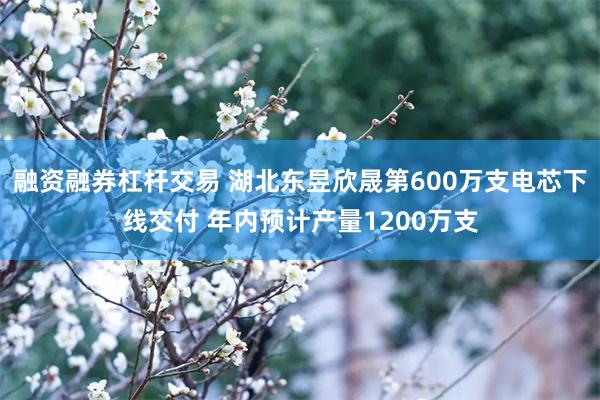 融资融券杠杆交易 湖北东昱欣晟第600万支电芯下线交付 年内预计产量1200万支