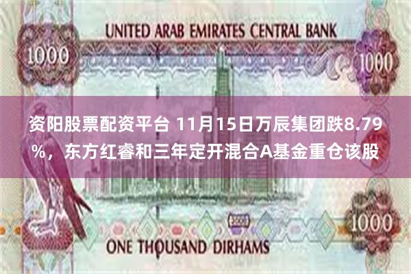 资阳股票配资平台 11月15日万辰集团跌8.79%，东方红睿和三年定开混合A基金重仓该股