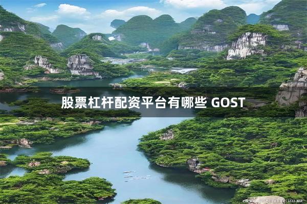 股票杠杆配资平台有哪些 GOST