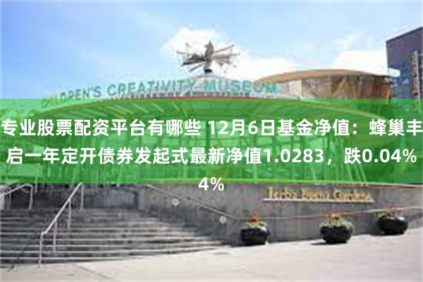 专业股票配资平台有哪些 12月6日基金净值：蜂巢丰启一年定开债券发起式最新净值1.0283，跌0.04%