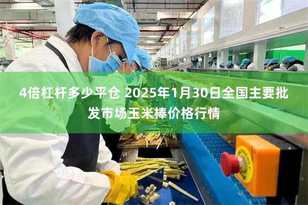 4倍杠杆多少平仓 2025年1月30日全国主要批发市场玉米棒价格行情